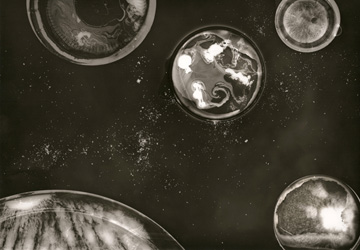Photogramme « Cosmos » de Stéphanie Robert