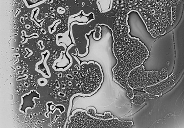 Photogramme « Cartographie du hasard » de Stéphanie Robert
