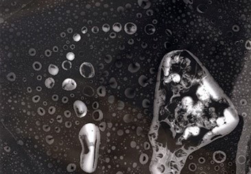 Photogramme « Gouttes en encre » de Stéphanie Robert