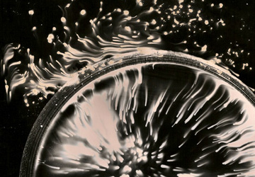 Photogramme « Fusion » de Stéphanie Robert